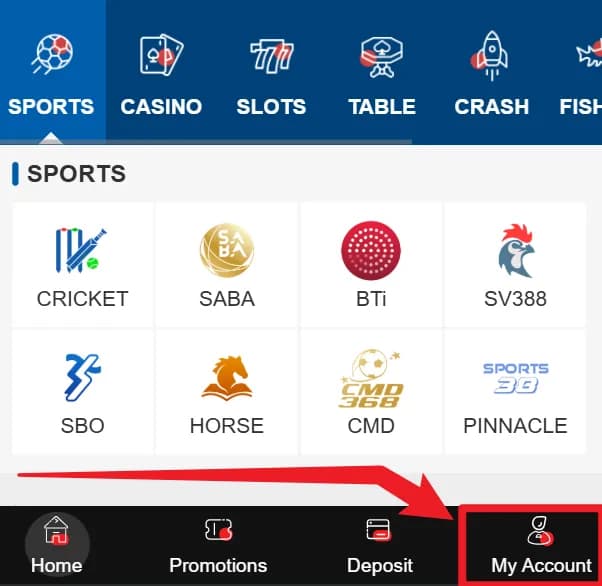 Step 01 - Click on My Account